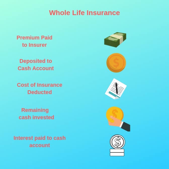 how life insurance works